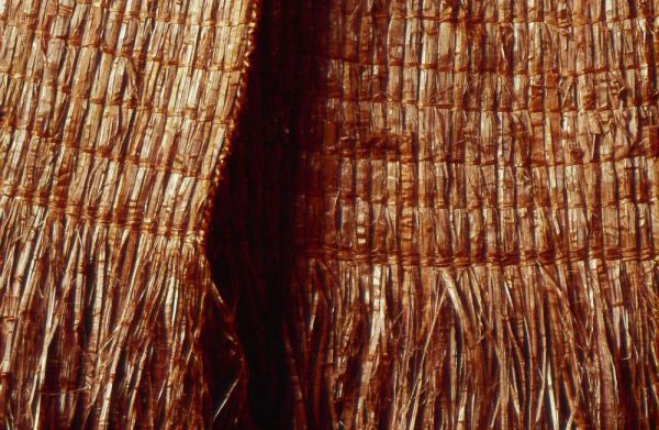 Detail, Cedar Vest