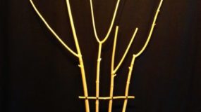 Pealed Big Leaf Maple, Bonsai Wire, Waxed Thread